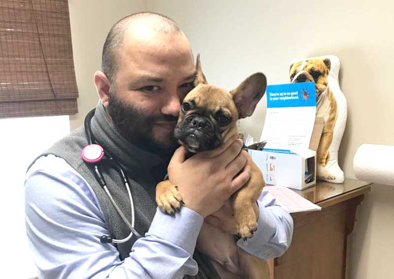 Carousel Slide 3: Dog veterinary care